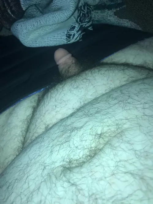 Cub would like to be Bred! by Educational_Ant1387