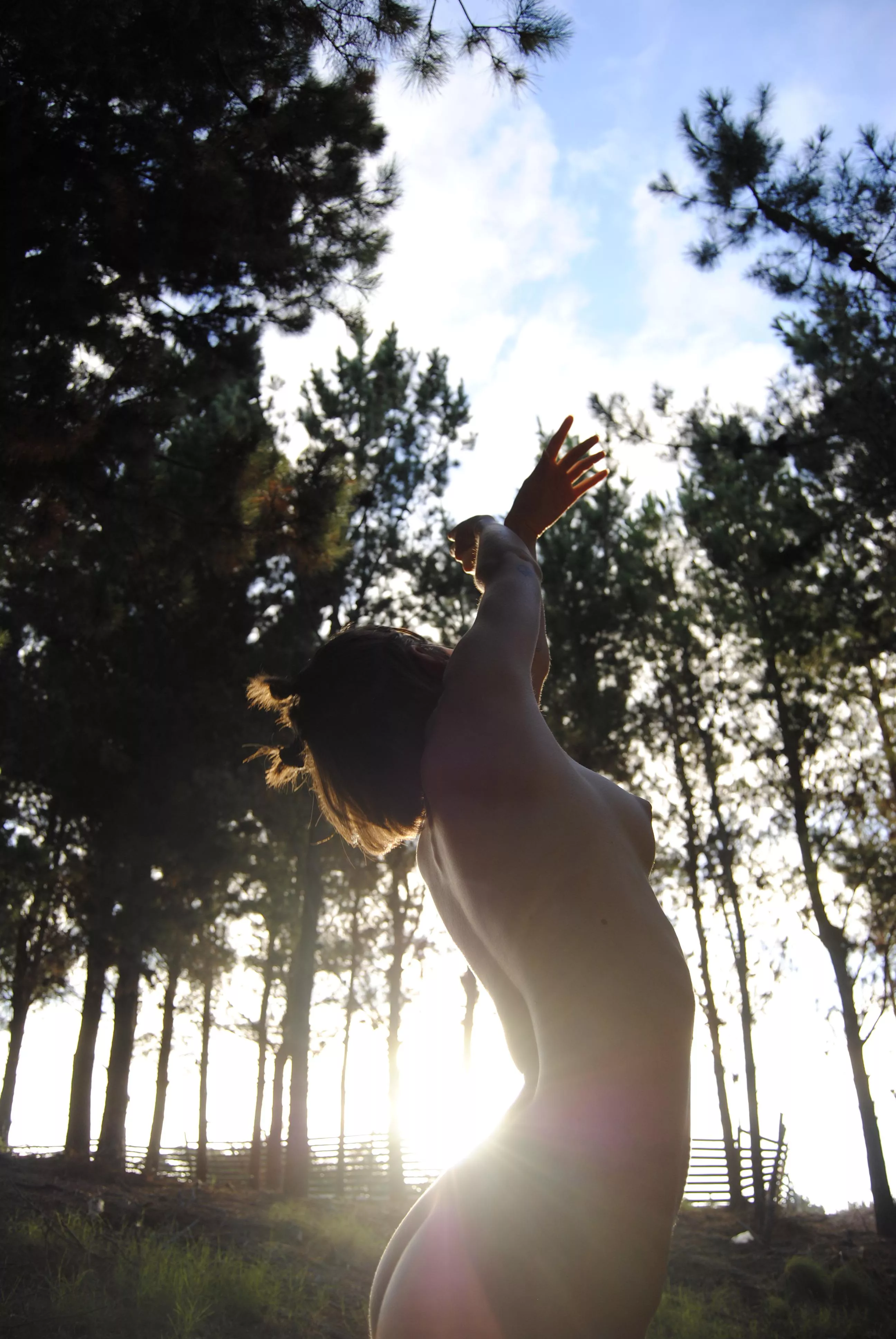 Dancing with the woods posted by franuella88