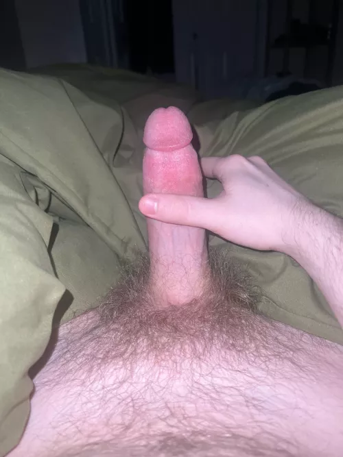 Fresh 18? What we think by Brave_Position2005