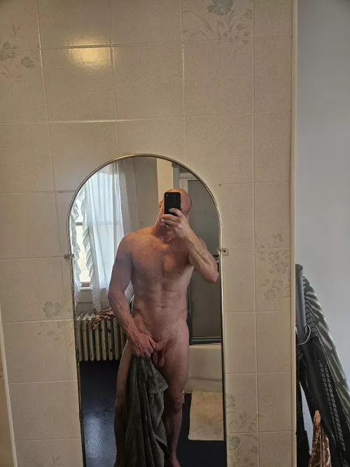 Ginger bull for breeding  by Fitdadof2