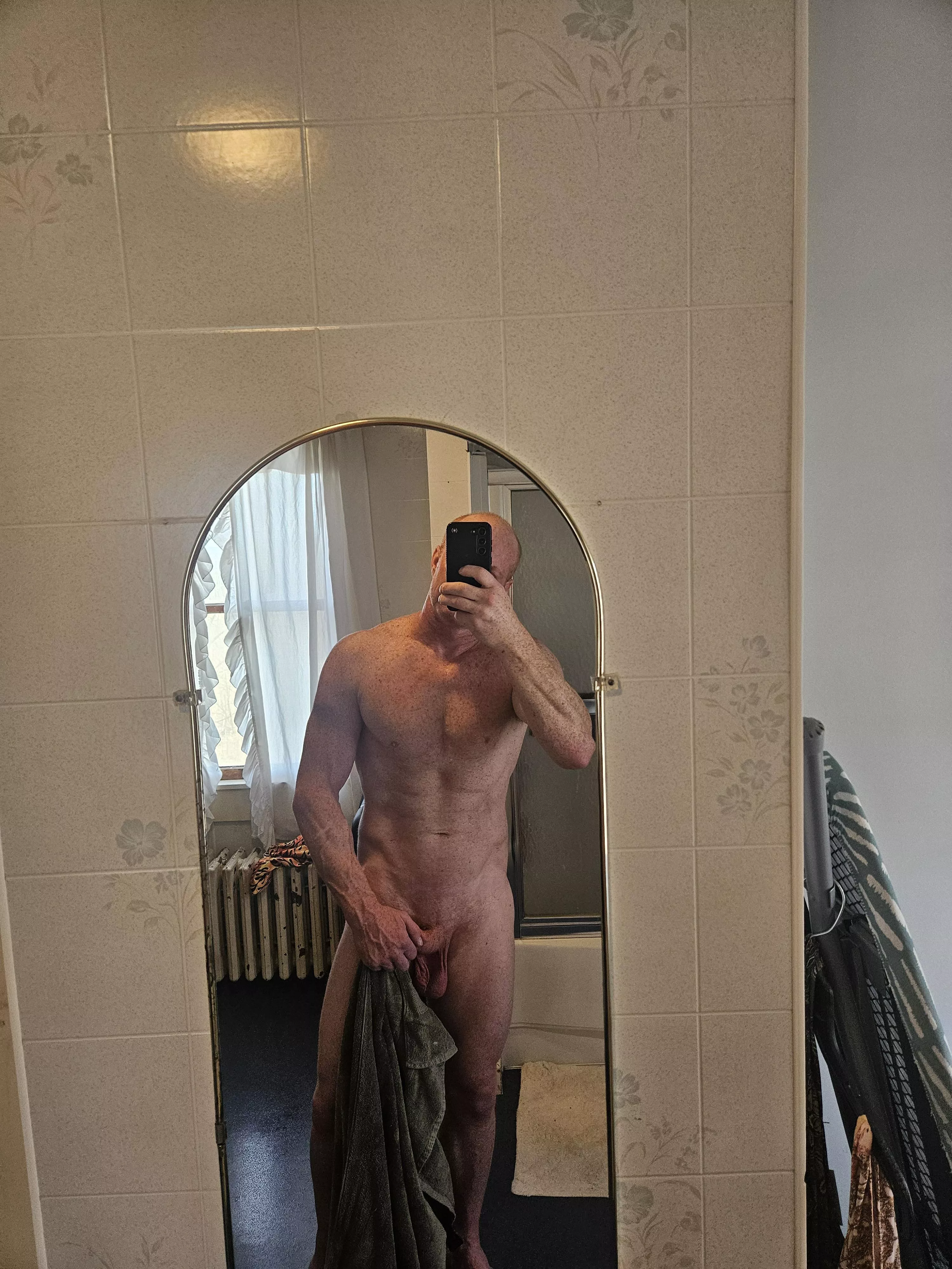 Ginger bull for breeding  posted by Fitdadof2