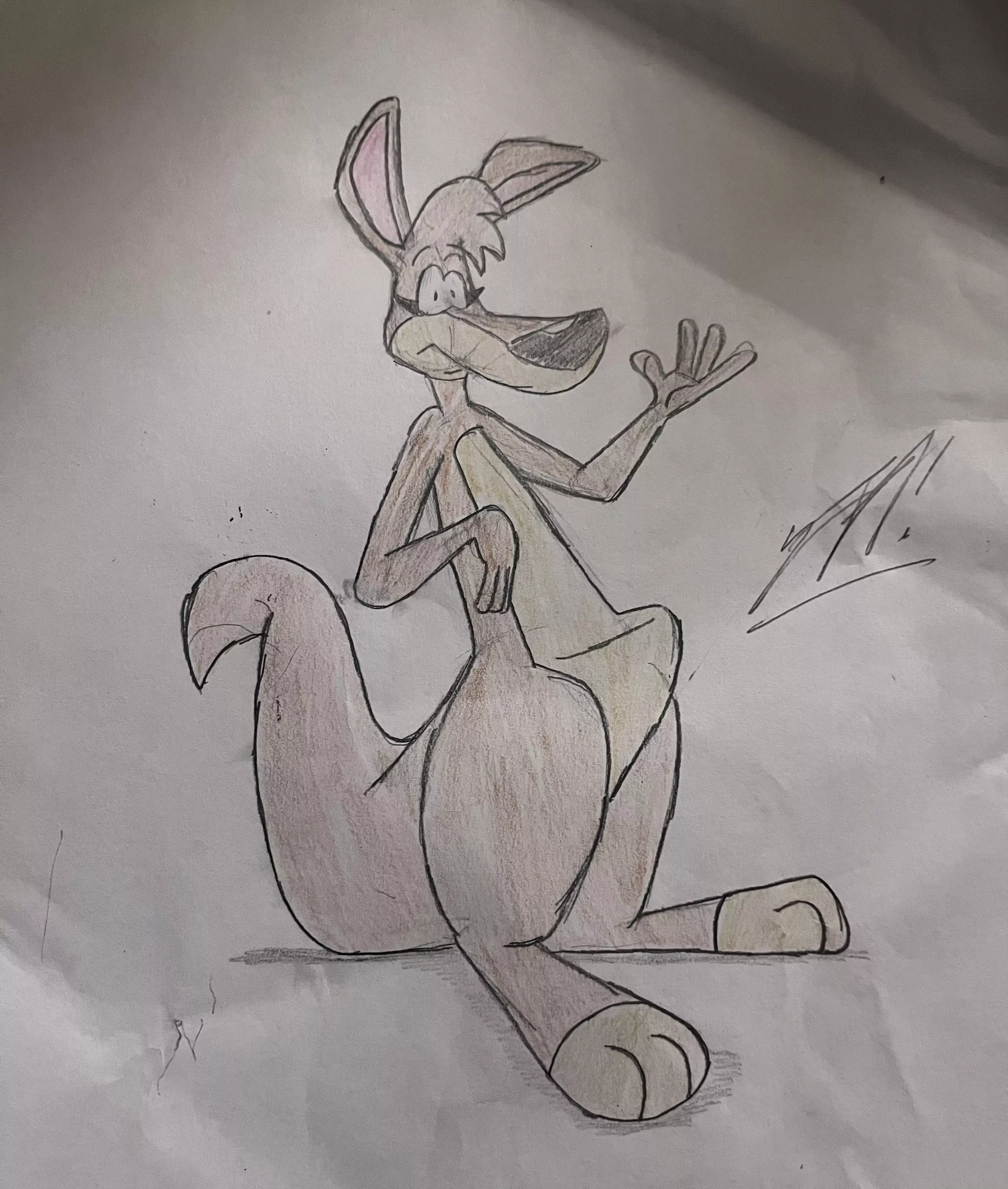 Jodie the timid Roo posted by General-Customer-687