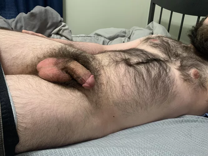 Lazy start by Veterinar67