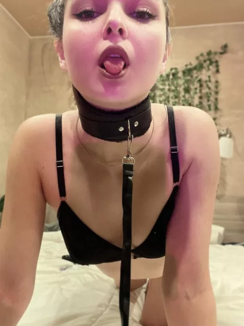 Leash me up and take me where you please [F] by pluckilyriffle