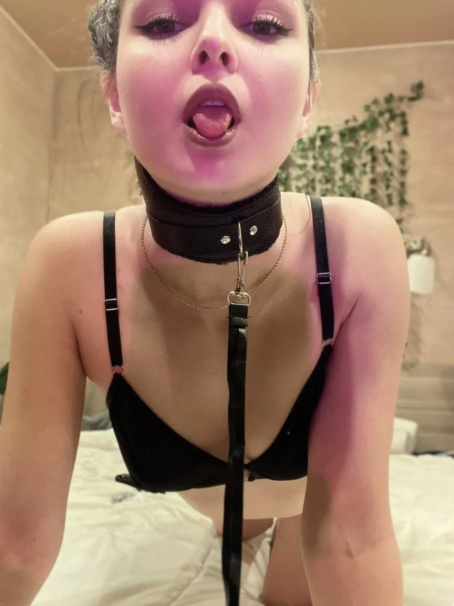 Leash me up and take me where you please [F] posted by pluckilyriffle