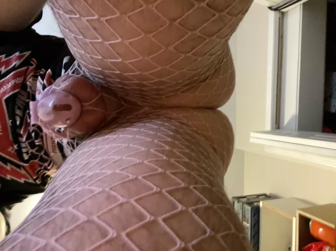 Longest I’ve been in chastity by Savings-Training7335