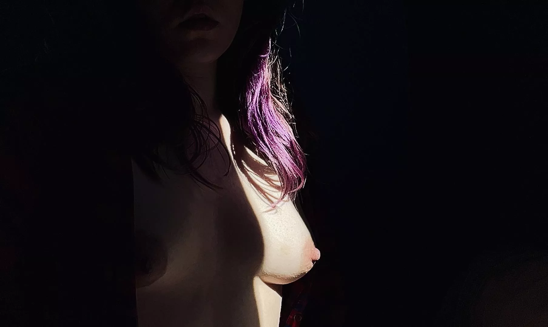 morning sunlight posted by artsyelly