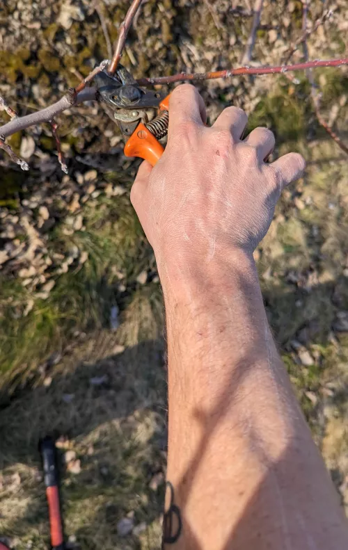 My arms get really scratched up while pruning  by Digitalblasphemy69