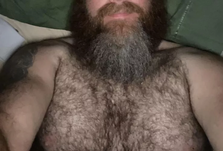 My Modest Offering…. by Sparky2048