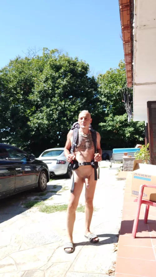 ready by Ok-Professional4575