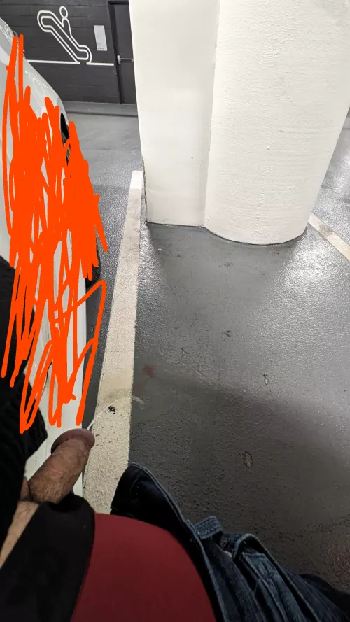 Risky piss in public by pntybttm85