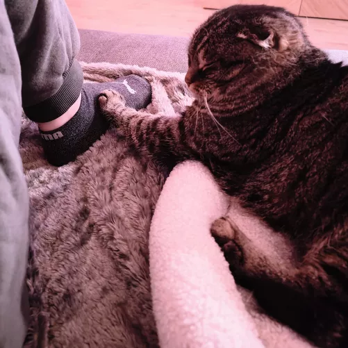 This could be you, praying to my foot 🎀  by rightfullyClio