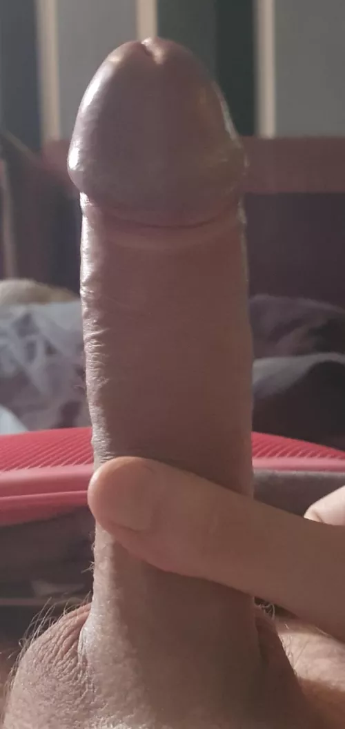 Thoughts? by Chemical-Worker-1224