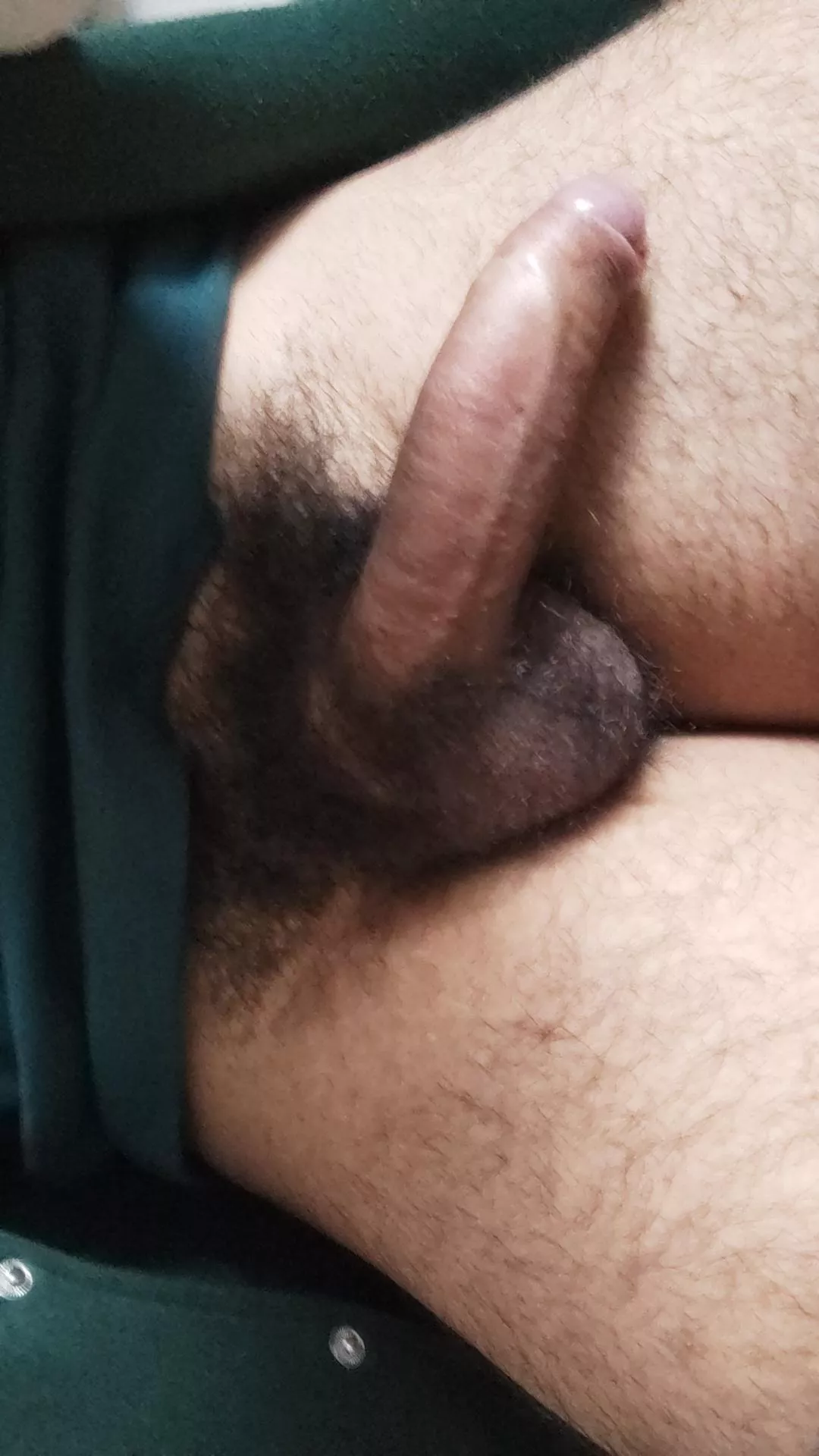 What you guys think, I haven't shaved for 4 months now should I go for 8 months ?  posted by Short_Bandicoot4301