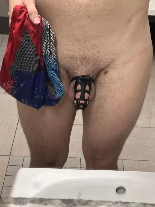 1.5km lap swim done by GayGeek6969