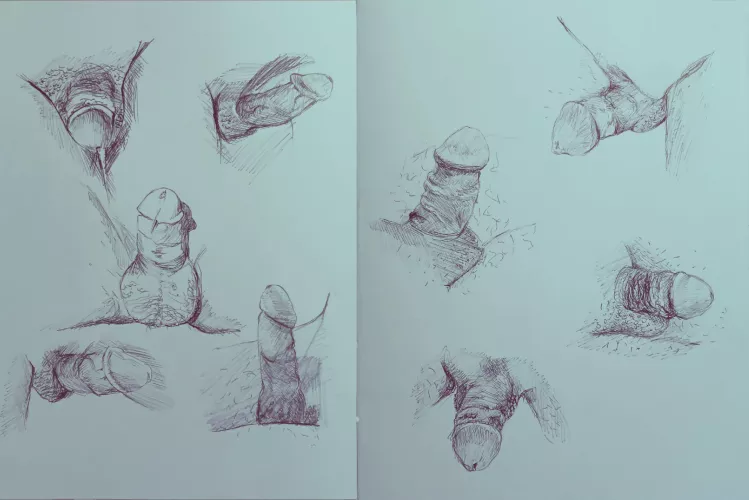 9 cocks. Pen on paper. By me.  by Angie-Audio-Lover