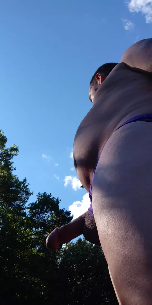 Along The Trail. by windabird