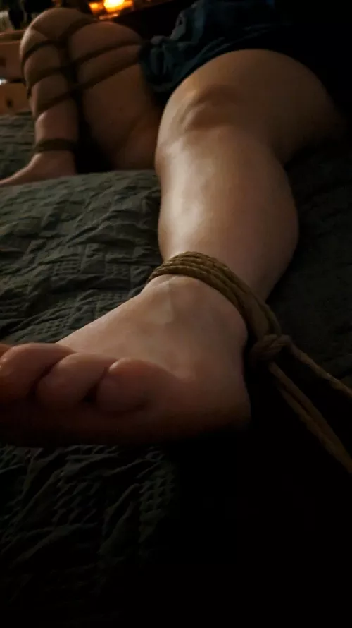 Good Saturday night by babybluetractor