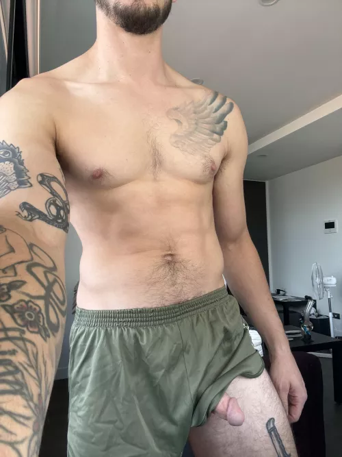 Hangin out (30) by radriggg