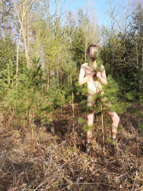 Hiding! 🌳 by Water_birdy