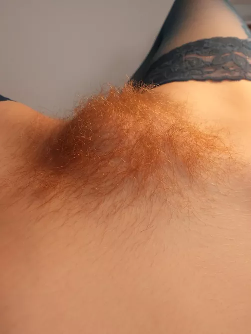 I bet you've never seen a more beautiful hair color 😏 by RedWildcatx