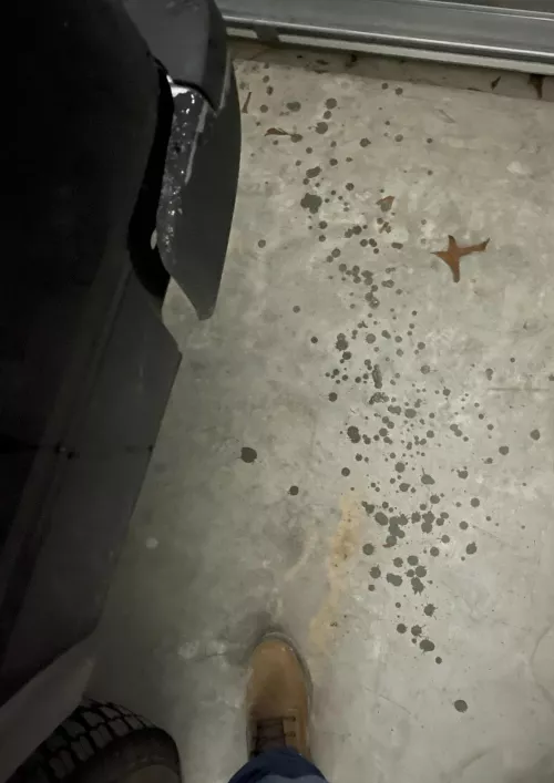 I got home after a long HARD drive home and couldn’t help it as soon as I got out of my truck I shot this massive load.  by Competitive-Hyena500