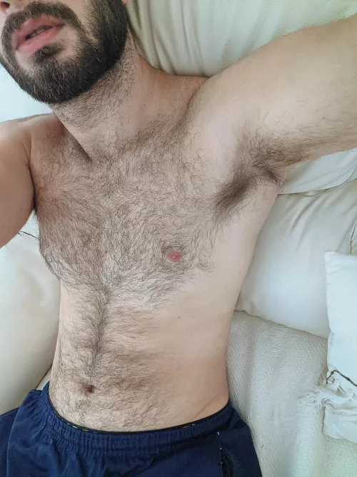 Is facial, chest, and armpit hair something you like? by Tyzz69