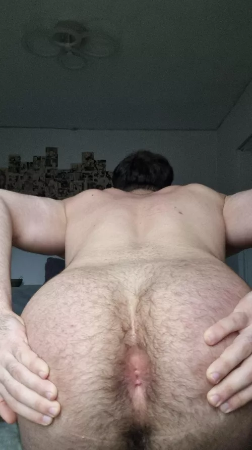 My ass is hairy and got refused for it should I shave? by Luxationers