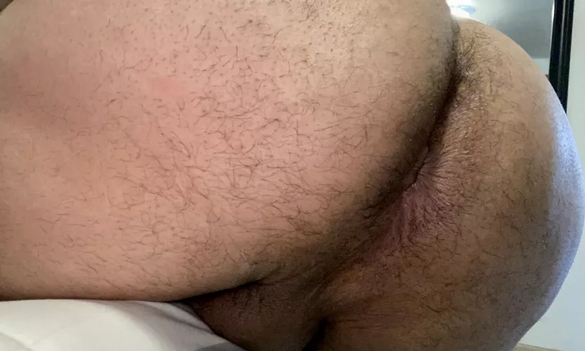 Nice and ready  by xxcub11