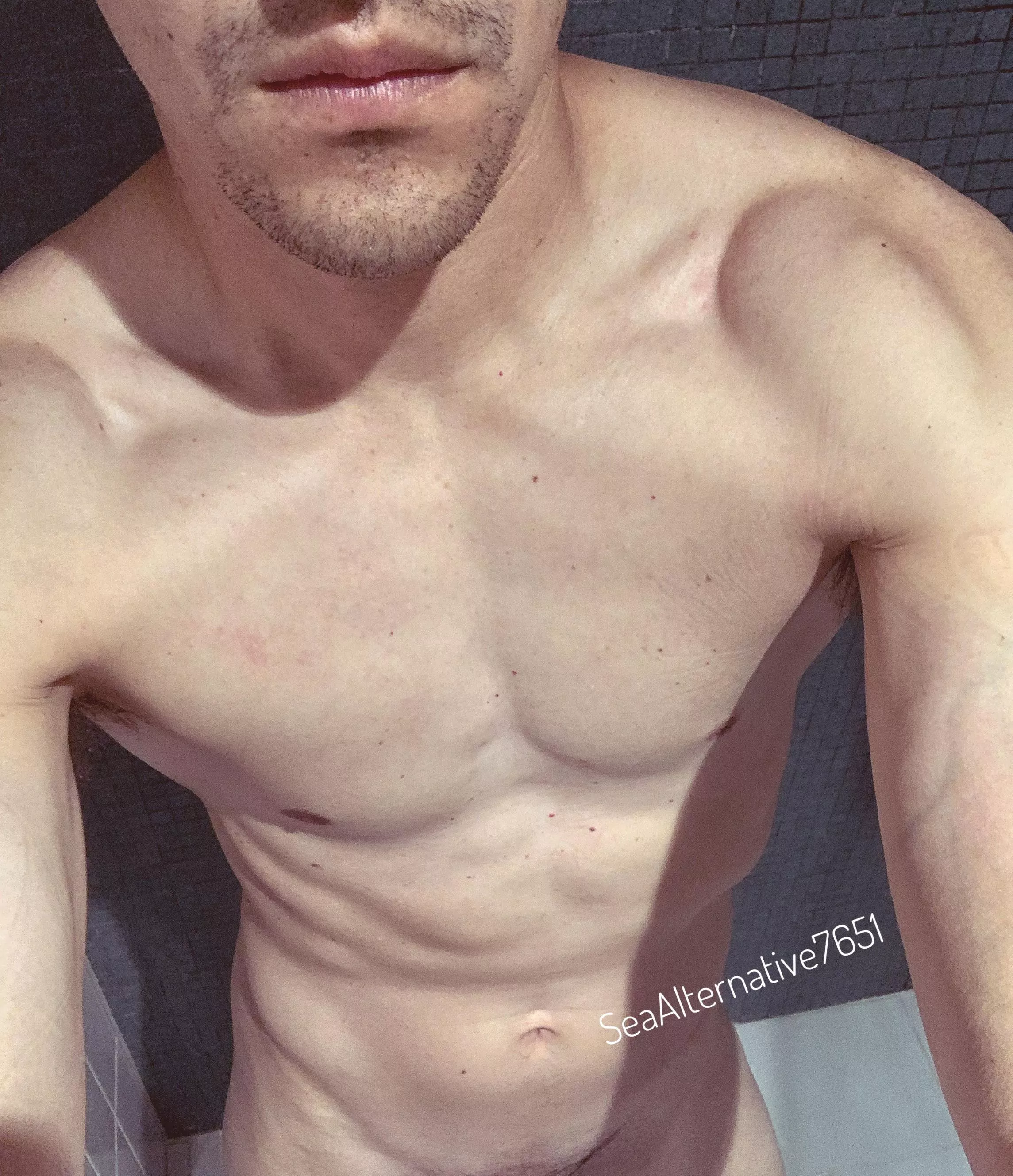 Perspective posted by SeaAlternative7651