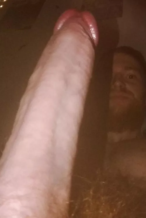 Prime ginger meat needs a hand or two! by NoPromise429