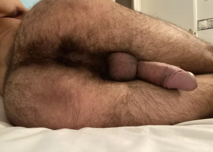 Suck or fuck ? by Unlucky_Wealth6100