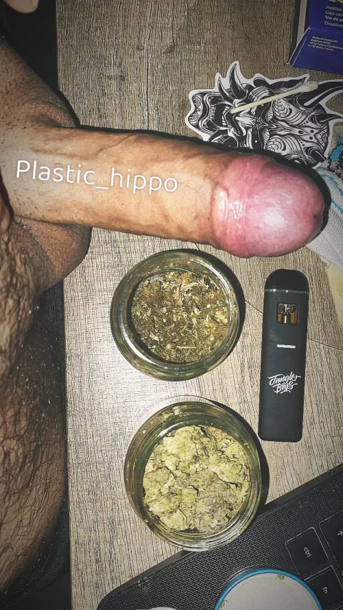 This is the combination of tonight, ready to enjoy!! (M) by Plastic_Hippo9236