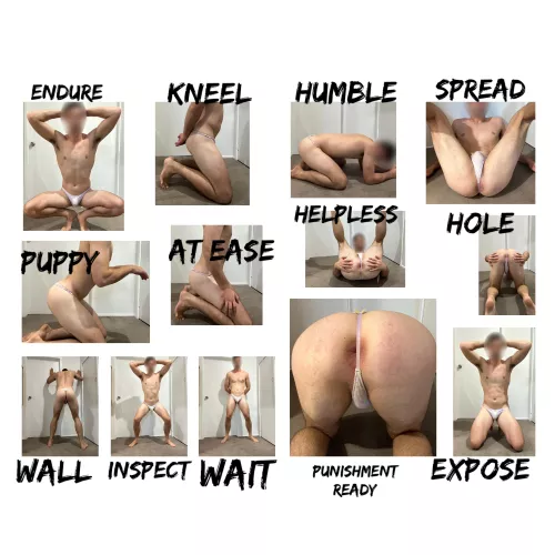 What is your favourite position  by Strong_Ad5670