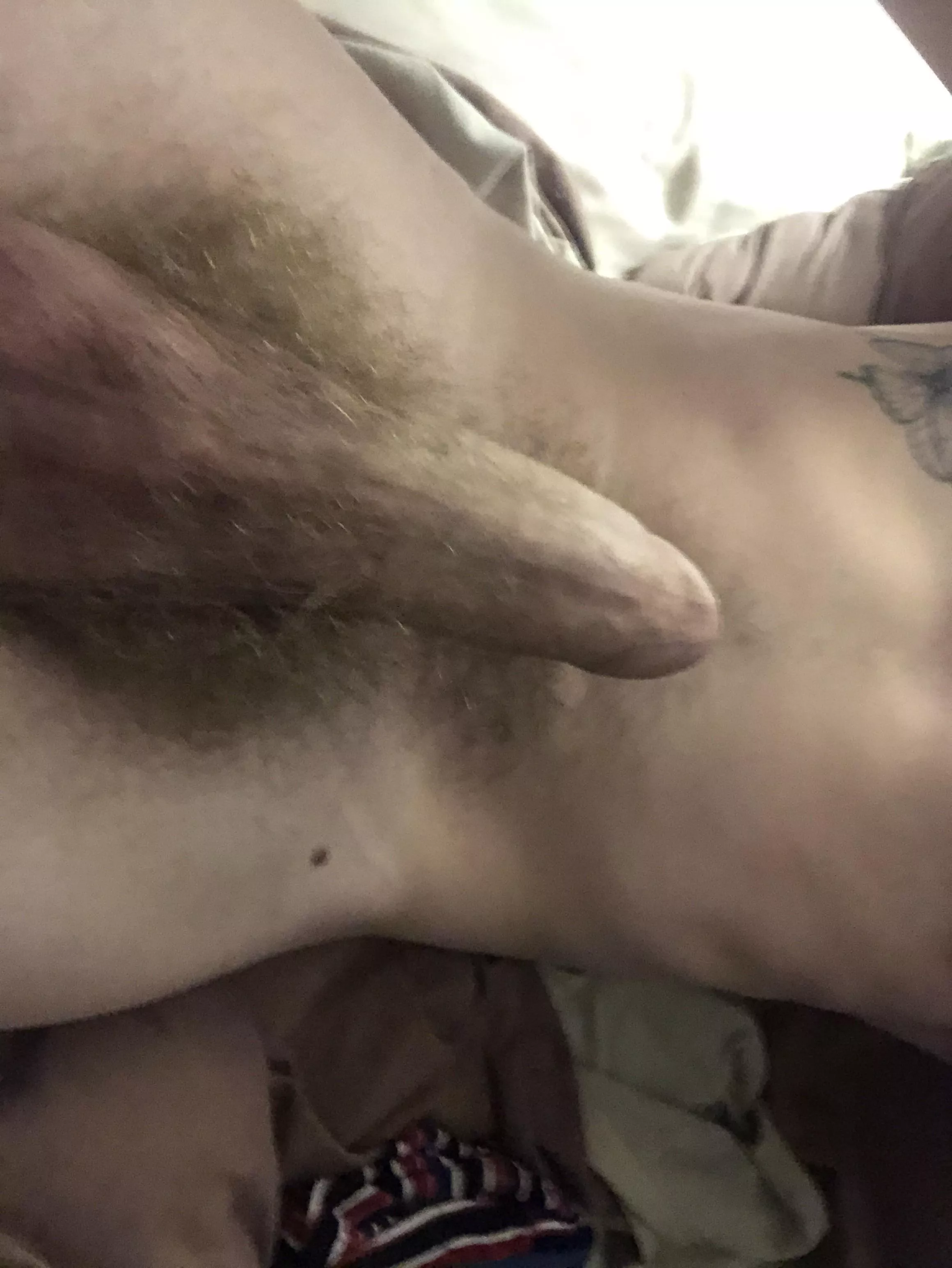 Any love for hairy gingers? posted by LabFlat9184