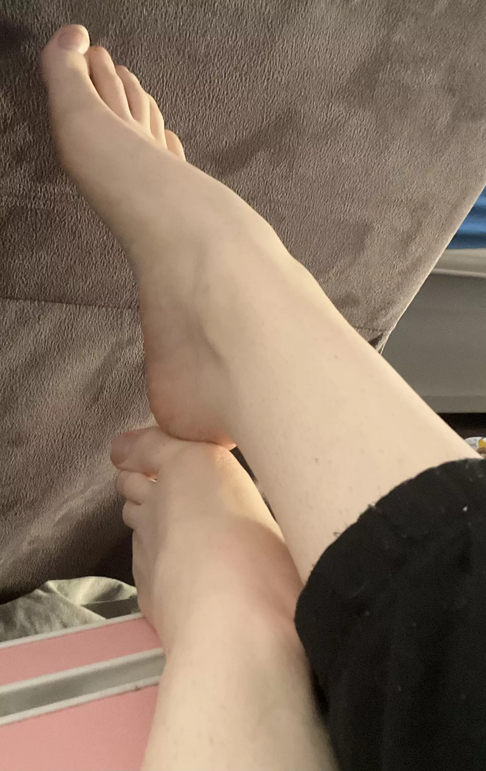 Are you feeling a bit distracted? 🤭 posted by MissPirait