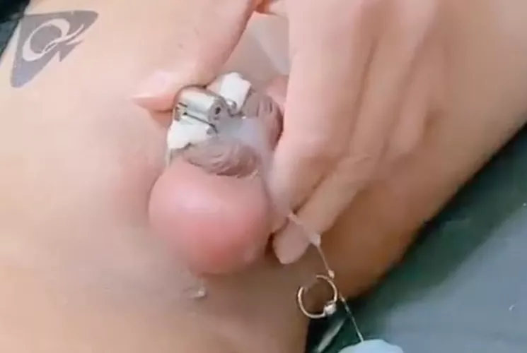 Can anyone identify this cage/device? by SissySara666