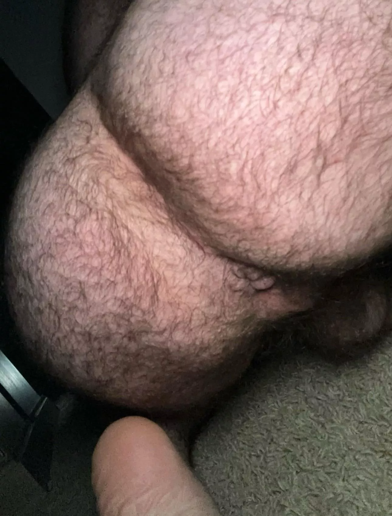 Hairy and round posted by daddy__nug