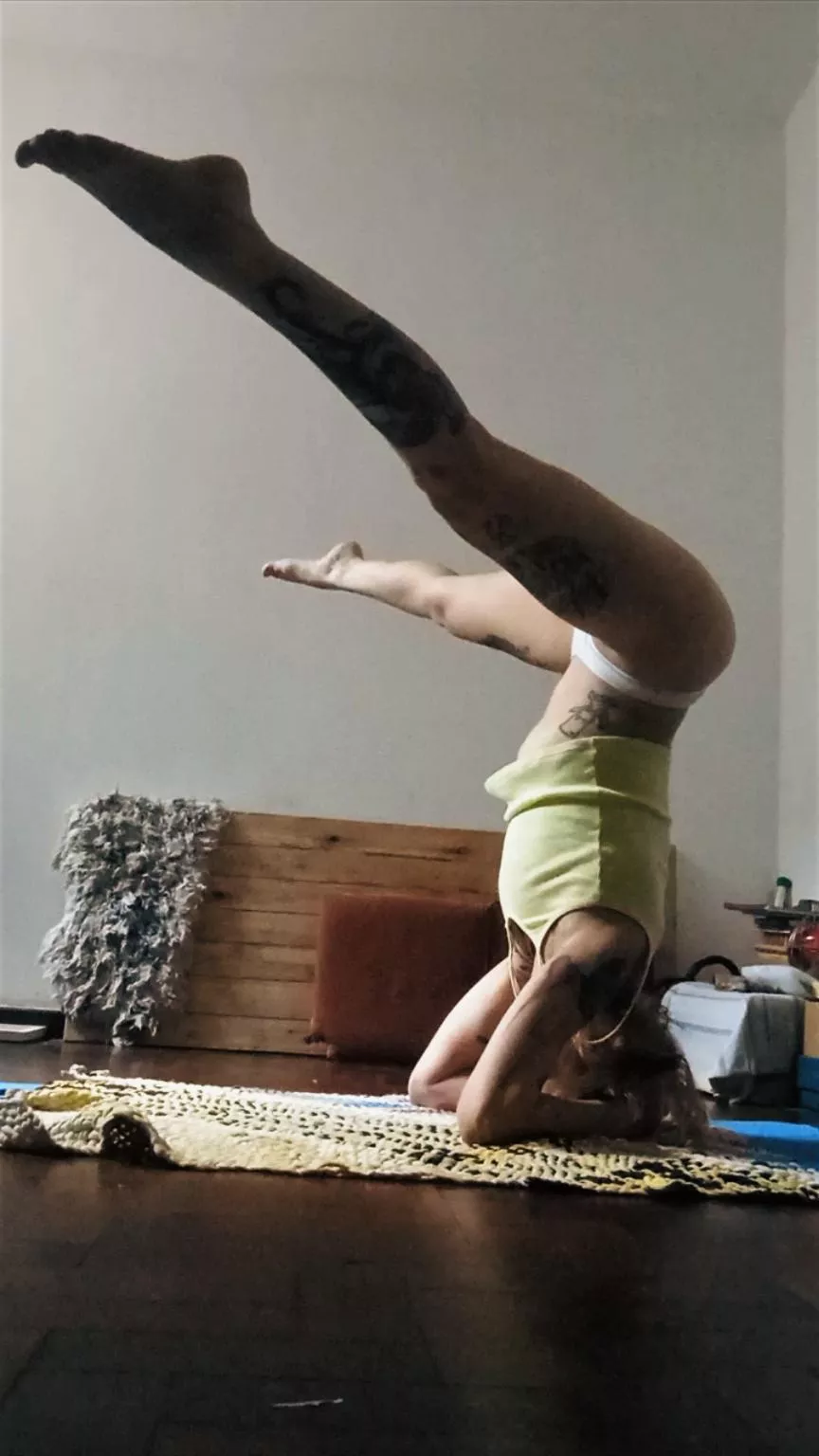 Headstands are one of my favorite practises posted by tuttifuckiingfrutti
