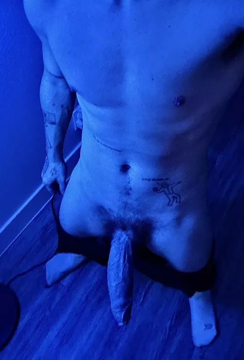 hello hi, hi hello by lilshuxhutwo