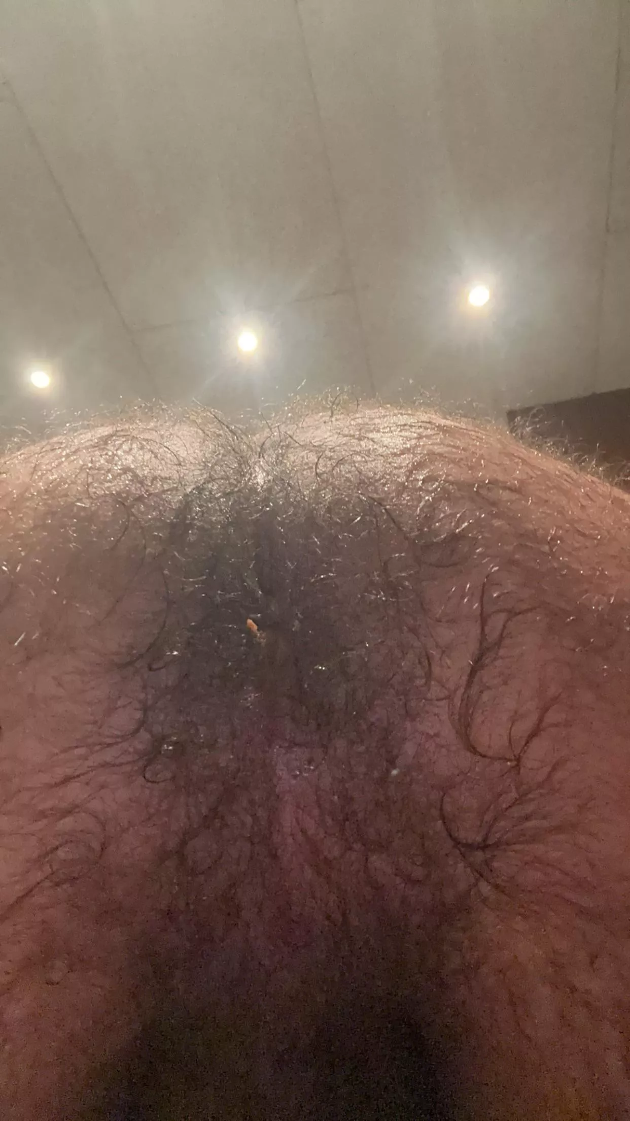 I win lol posted by Deep_Tomatillo_2342