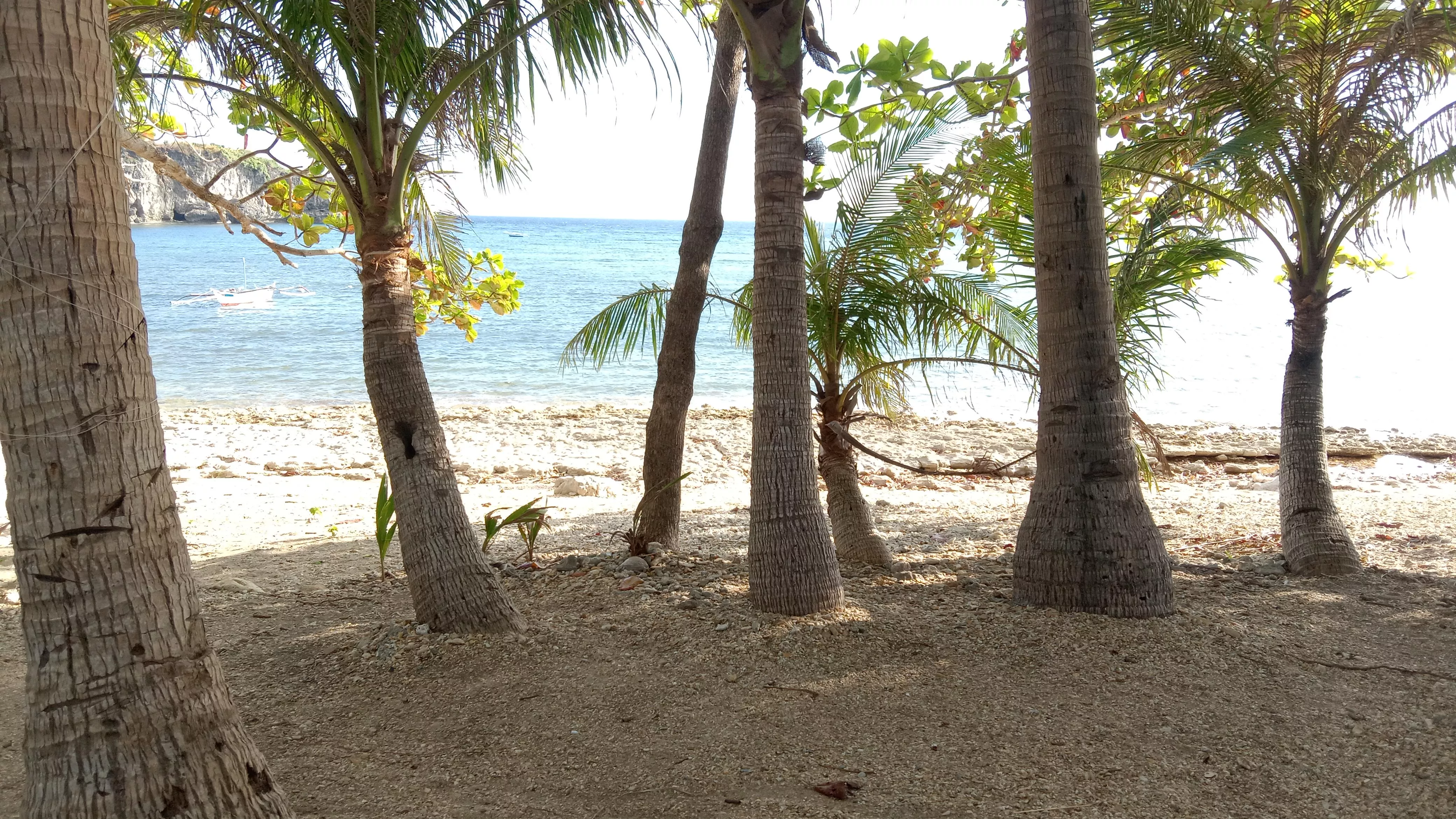 Lubang Island posted by True_Stranger_2267