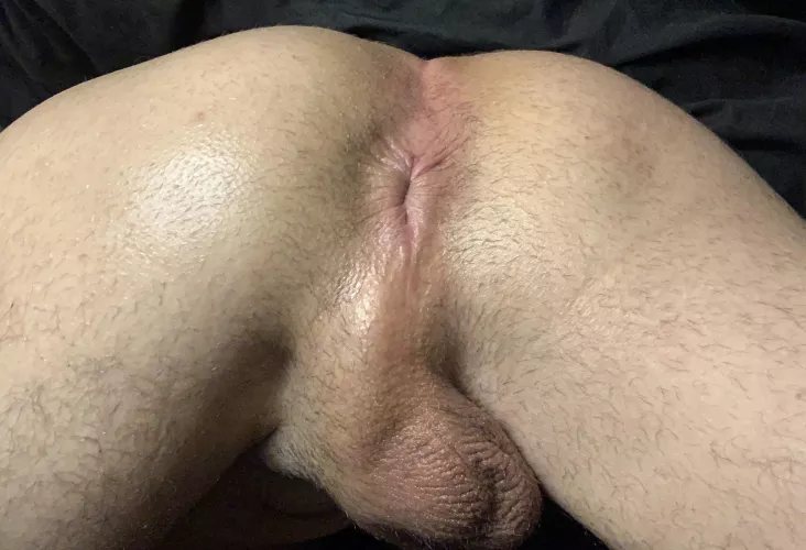 Mount it or devour it? by Beginning_Cry4907