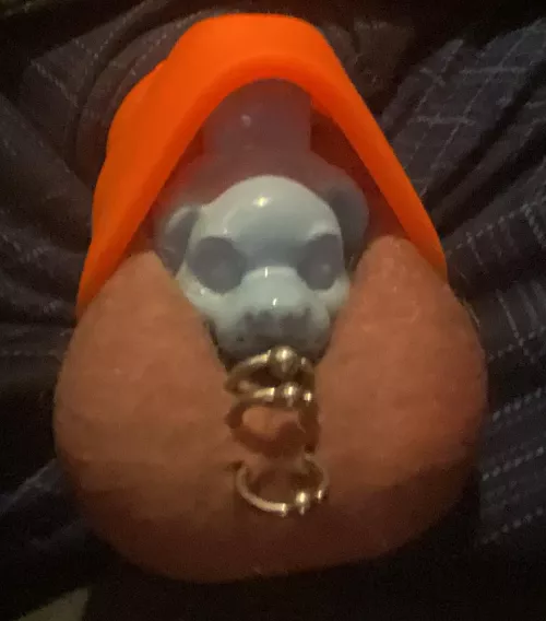 Pup wearing his cone by Stuff_N_Bums