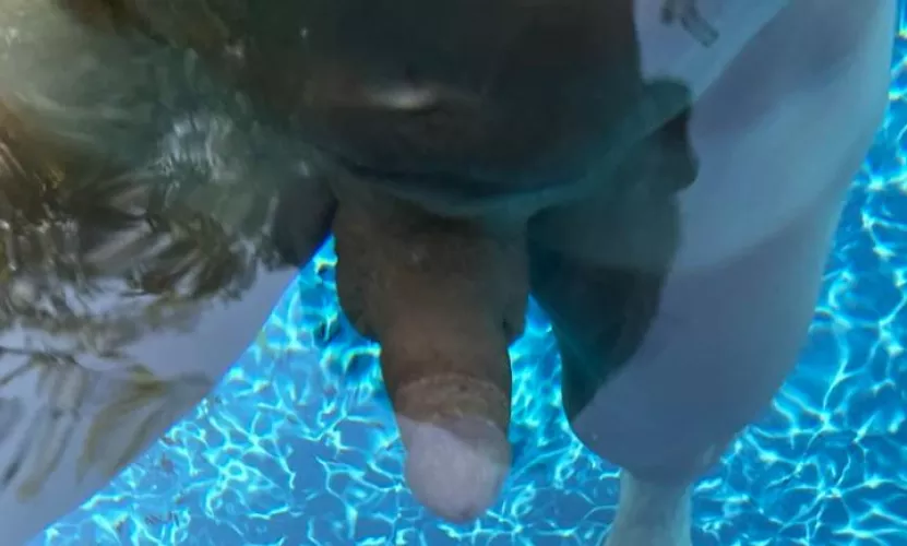 ready for summer, who's behind me ? [50] by draven_