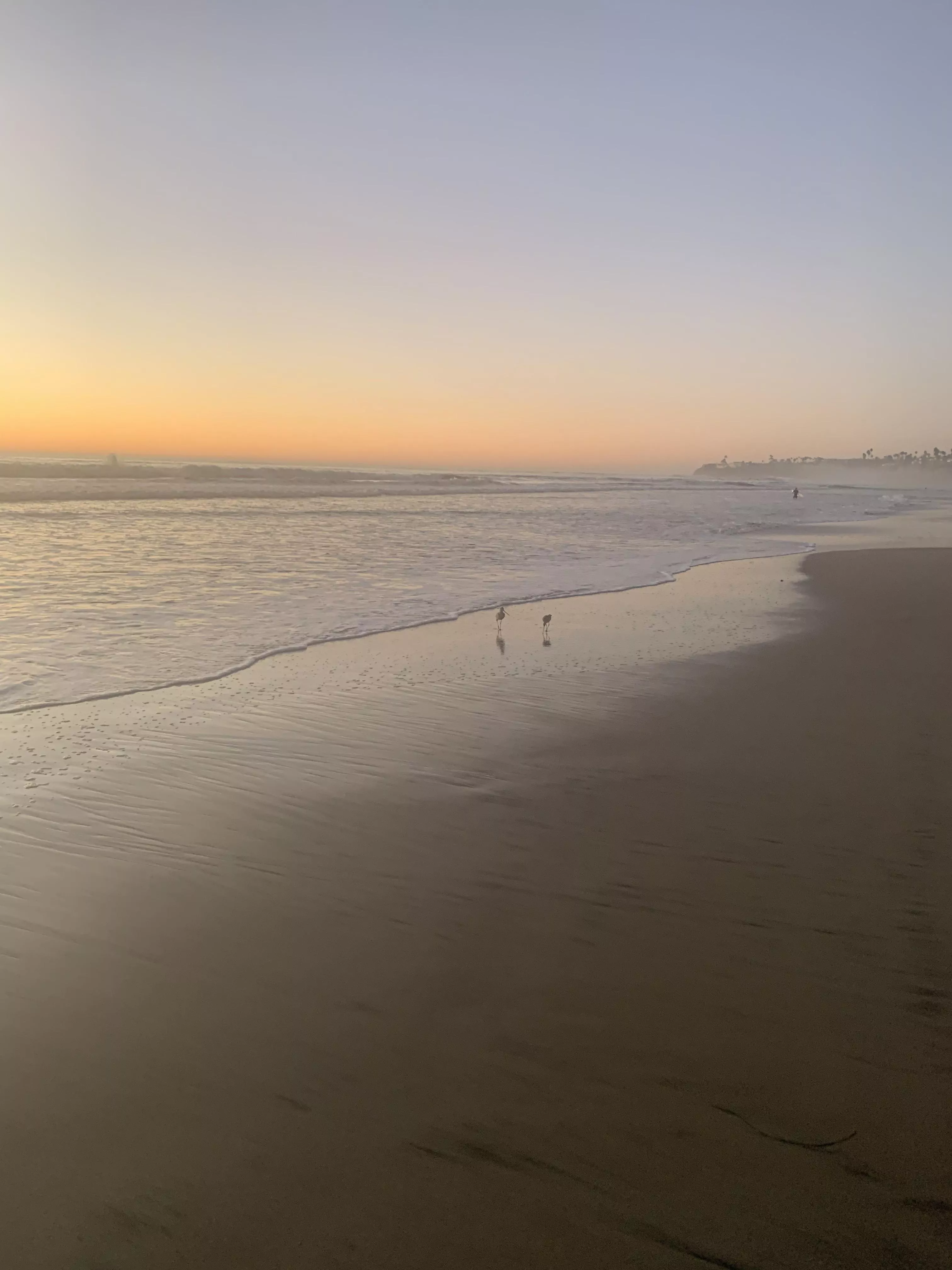 San Diego posted by bishimnottheone