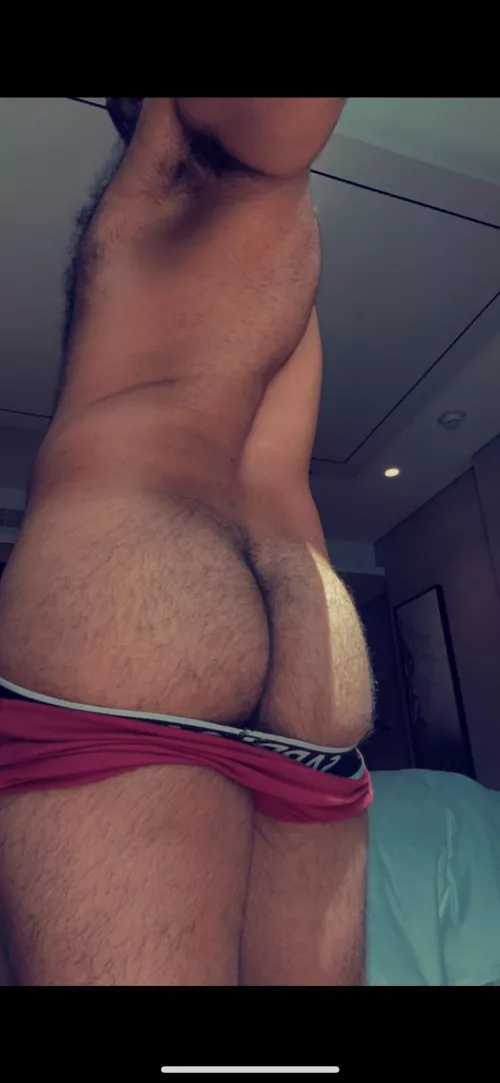 Shave or no shave by One_Ant_6788