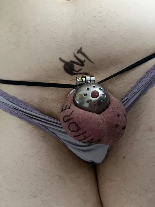 Should this be permanent? 😈 by OBandPG