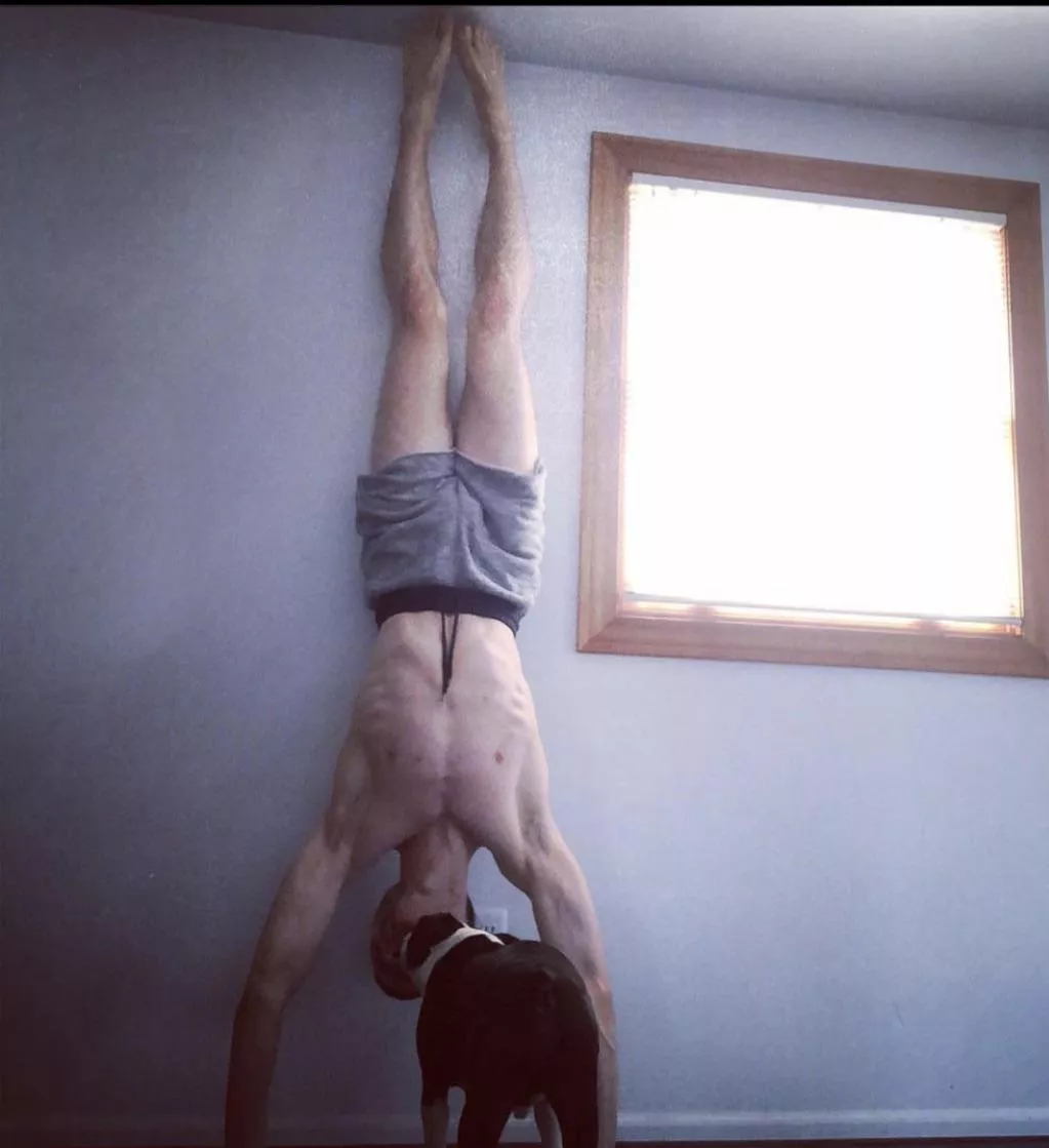 Someone has seen Spider-Man posted by SuperPuppyNoodleBoy