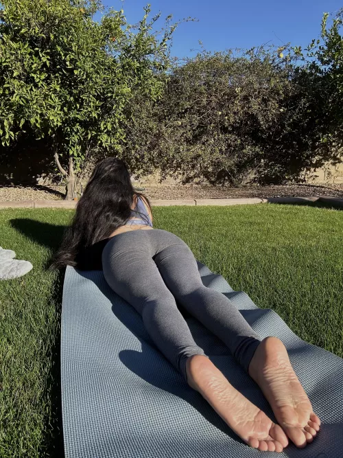 sun bathing!  by Both-Weather4435